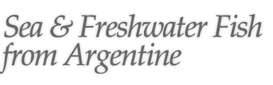 Sea & Freshwater Fish from Argentine
